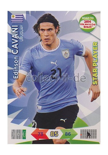 Panini adrenalyn road world - panini,